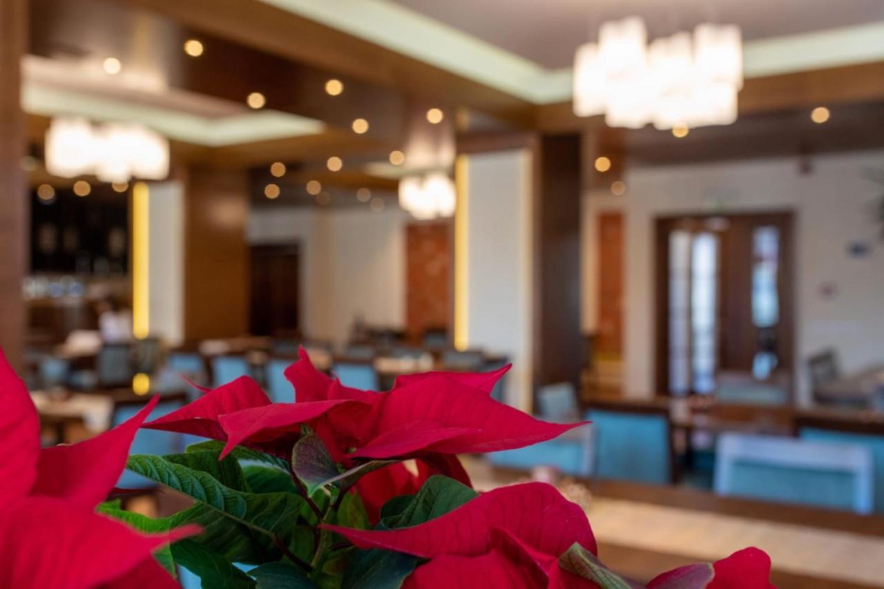 Hotel Buchenland Gura Humorului Εξωτερικό φωτογραφία